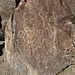 Petroglyphs (090923)