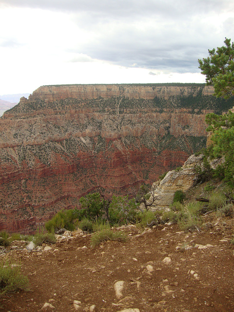 grand canyon 349