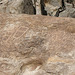 Petroglyphs (095601)