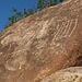 Petroglyphs (100241)