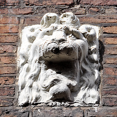 Ornamental lion's head