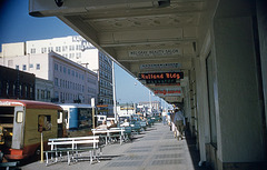 Green Benches, St. Petersburg, Florida, 1950s
