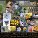 365: March Collage