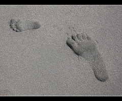 Family Footprints (Explore #42)