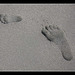 Family Footprints (Explore #42)