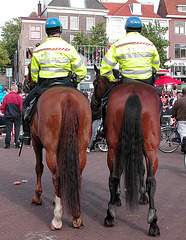 Police on horseback – the rear