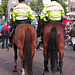 Police on horseback – the rear