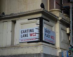 Carting Lane | Savoy Place WC2