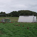 Ruby Hills' chook feeders and roosts