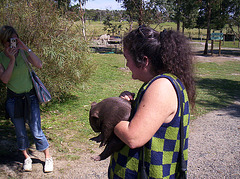 baby wombat Tess & Sandy