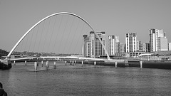 Newcastle 12