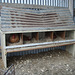 chook laying boxes