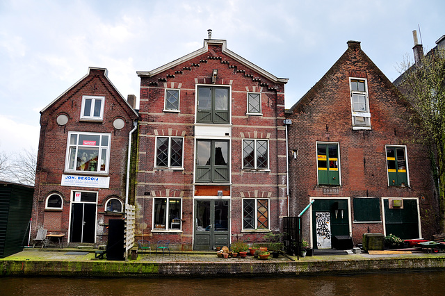 Houses on the Old Rhine