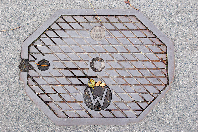 Viennese street covers: Unusual shape for a cover