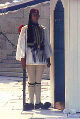 Guarding the Presidential Palace