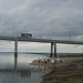 pelicans under Philip Island bridge
