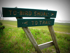 <ToTrail,To Bird Shoal>