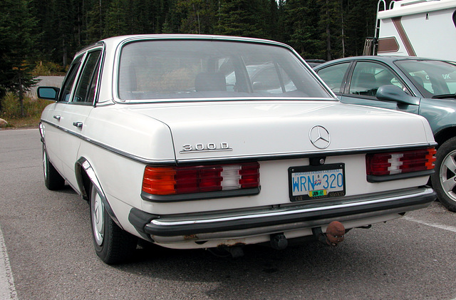 The Mercedes-Benz W123 in Canada: a 300D at Lake Louise