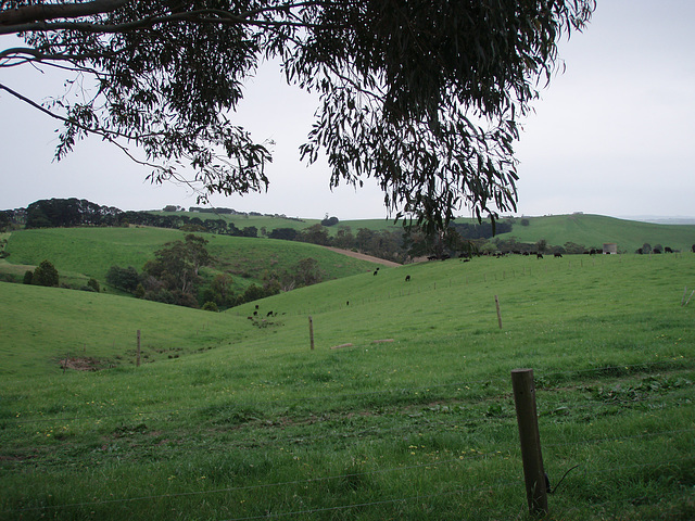 view from back of farm