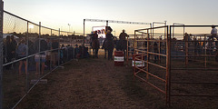 Stony Creek Rodeo 2013