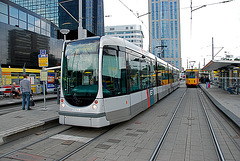 Trams in Rotterdam