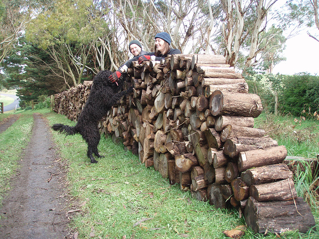 builders of the Wall of Wood