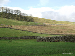View of the Dales
