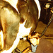 1983 milking cow