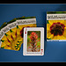 28/365: "Life consists not in holding good cards but in playing those you hold well." ~ Josh Billings