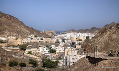 The Oman Series 5581883602 o