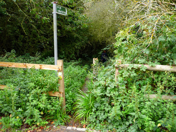 Path to the Ingrebourne