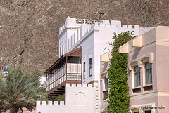 The Oman Series 5581884840 o