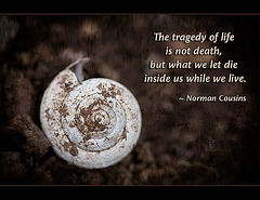 "The tragedy of life is not death, but what we let die inside us while we live." ~ Norman Cousins