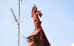 Things on rooftops: dragon