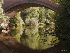 Kelvin afternoon reflections 4127961579 o