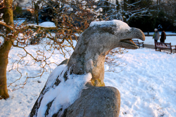 Icy eagle