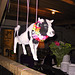floating party cow