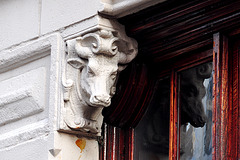 Ornament on the former building of the Co-operative butchers "Eigenhulp" in The Hague
