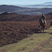 Riding on the Long Mynd