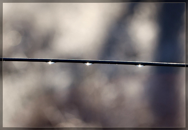 Glistening Droplets on Wire