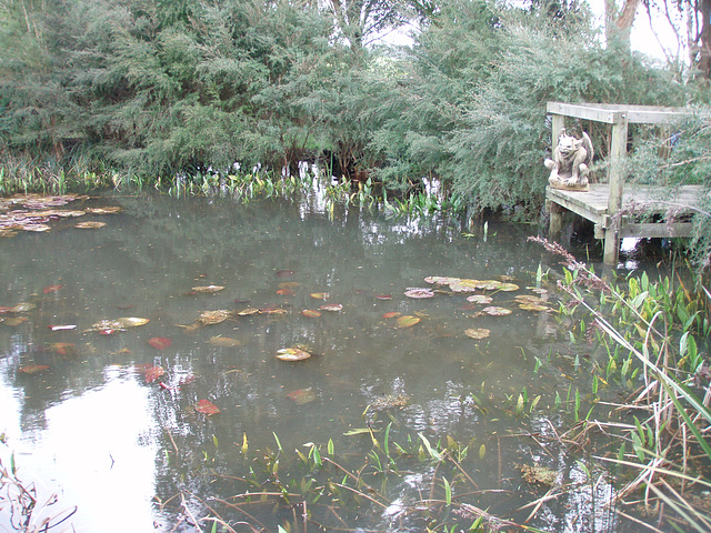 full pond after the heavy rains