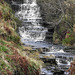 Ogden Moor and Waterfall