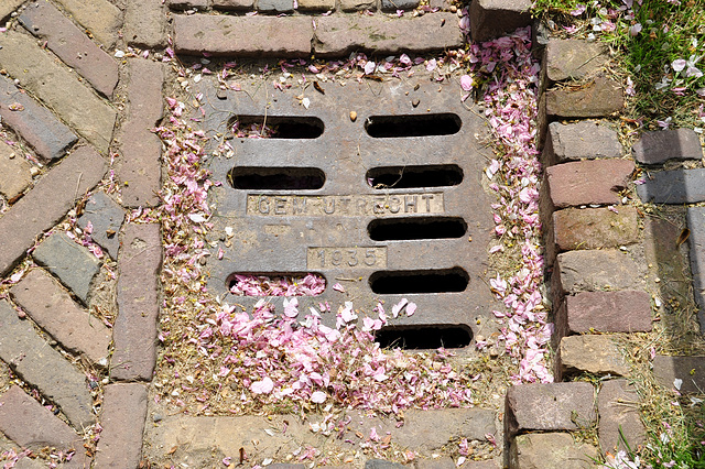 Drain cover of 1935