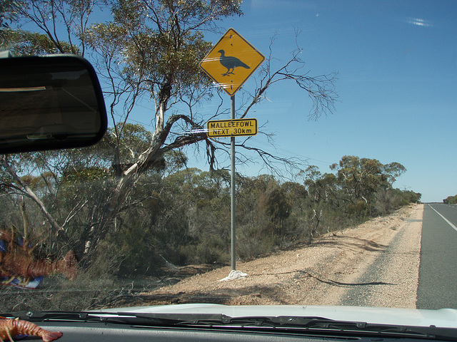 watch for mallee fowl