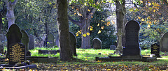 Preston Cemetery,N.Shields