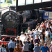 Celebration of the centenary of Haarlem Railway Station: Steam engines are always popular