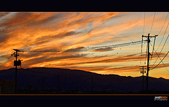 Birds on Power Lines at Sunset