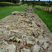 Roman wall at Heddon