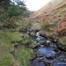 Ogden Moor and Waterfall