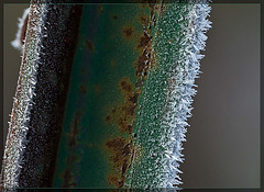Frosted Metal Post with Rust
